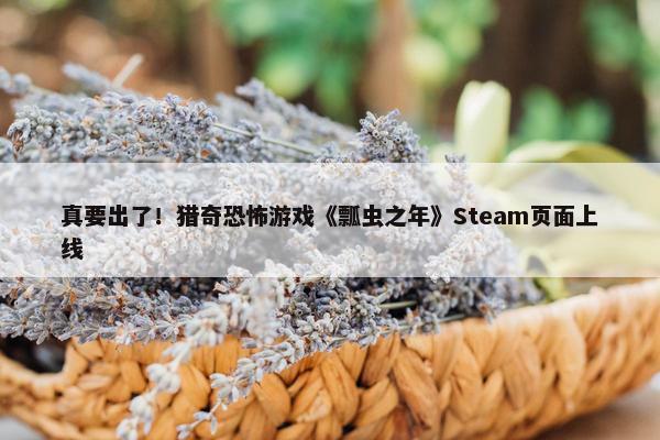 真要出了！猎奇恐怖游戏《瓢虫之年》Steam页面上线