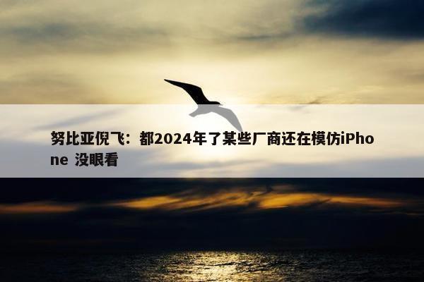 努比亚倪飞：都2024年了某些厂商还在模仿iPhone 没眼看