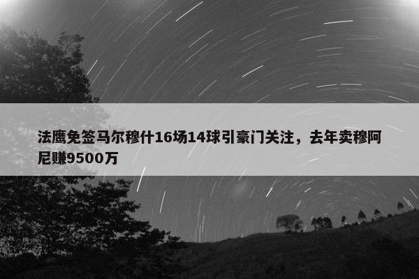 法鹰免签马尔穆什16场14球引豪门关注，去年卖穆阿尼赚9500万