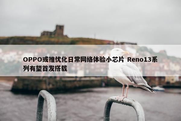 OPPO或推优化日常网络体验小芯片 Reno13系列有望首发搭载