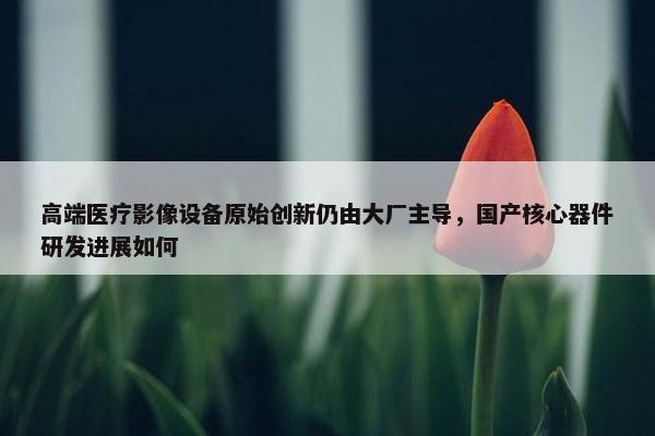 高端医疗影像设备原始创新仍由大厂主导，国产核心器件研发进展如何