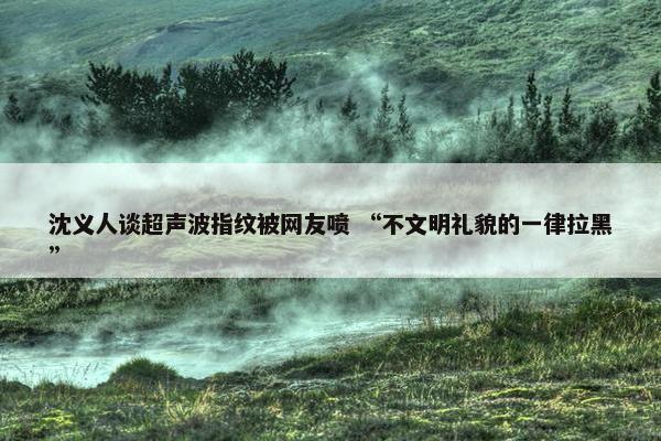 沈义人谈超声波指纹被网友喷 “不文明礼貌的一律拉黑”