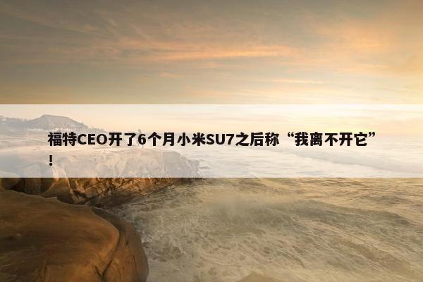 福特CEO开了6个月小米SU7之后称“我离不开它”！