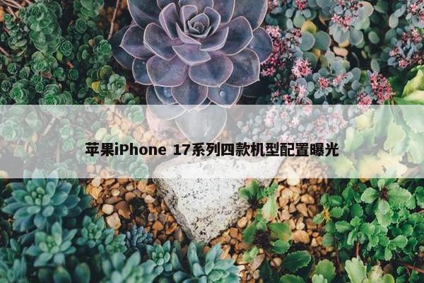 苹果iPhone 17系列四款机型配置曝光