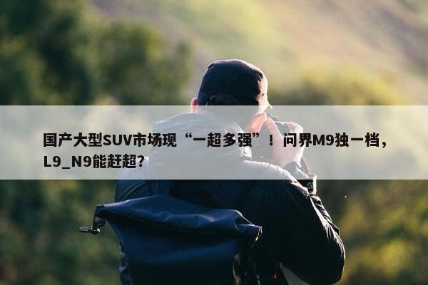 国产大型SUV市场现“一超多强”！问界M9独一档，L9_N9能赶超？