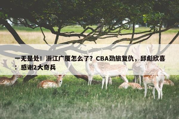 一无是处！浙江广厦怎么了？CBA劲旅复仇，邱彪欣喜：感谢2大奇兵