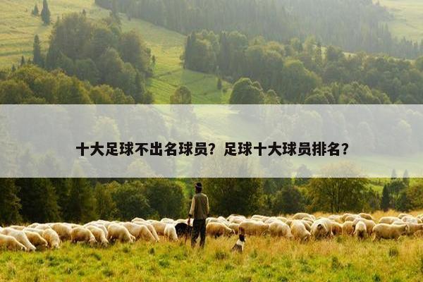 十大足球不出名球员？足球十大球员排名？