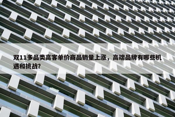 双11多品类高客单价商品销量上涨，高端品牌有哪些机遇和挑战？