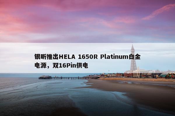 银昕推出HELA 1650R Platinum白金电源，双16Pin供电