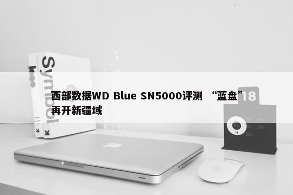 西部数据WD Blue SN5000评测 “蓝盘”再开新疆域