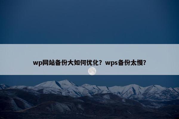 wp网站备份大如何优化？wps备份太慢？