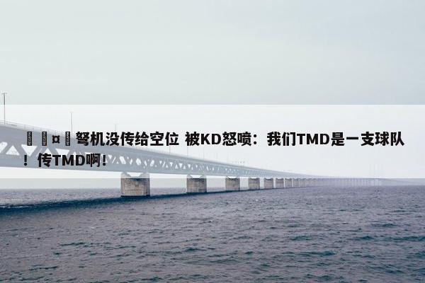 🤬弩机没传给空位 被KD怒喷：我们TMD是一支球队！传TMD啊！