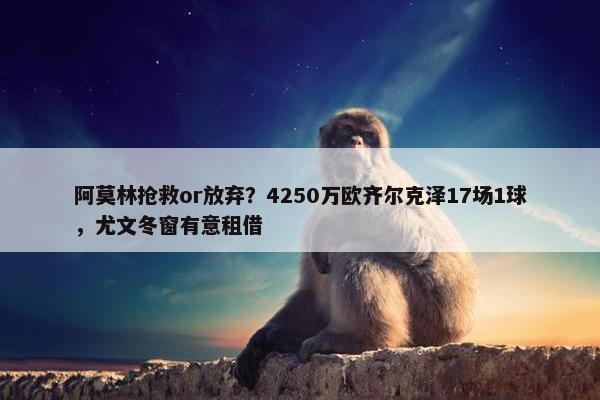 阿莫林抢救or放弃？4250万欧齐尔克泽17场1球，尤文冬窗有意租借