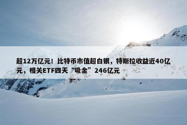 超12万亿元！比特币市值超白银，特斯拉收益近40亿元，相关ETF四天“吸金”246亿元