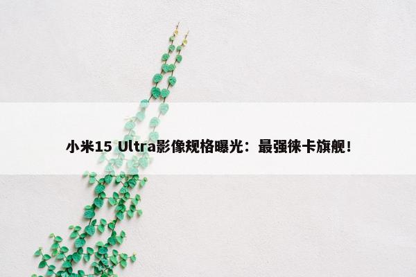 小米15 Ultra影像规格曝光：最强徕卡旗舰！