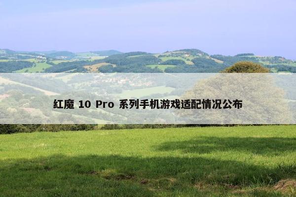 红魔 10 Pro 系列手机游戏适配情况公布