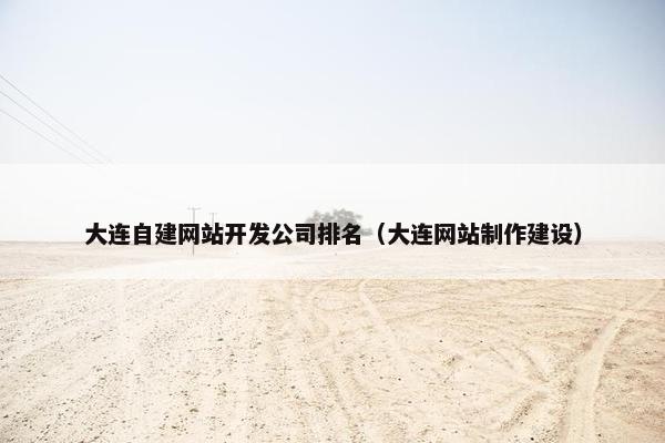 大连自建网站开发公司排名（大连网站制作建设）