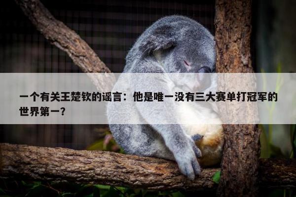 一个有关王楚钦的谣言：他是唯一没有三大赛单打冠军的世界第一？