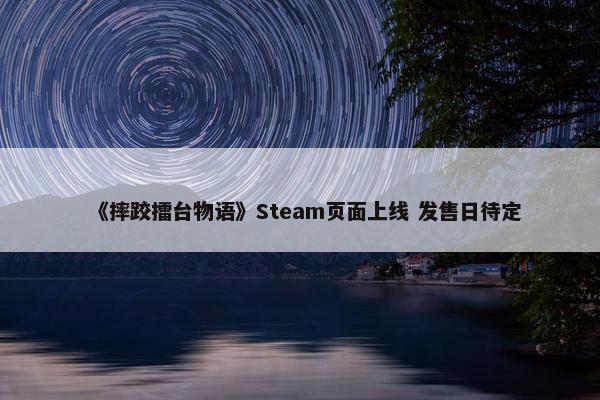 《摔跤擂台物语》Steam页面上线 发售日待定