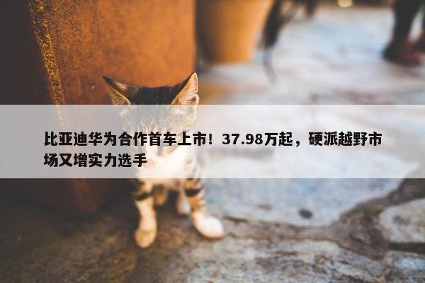 比亚迪华为合作首车上市！37.98万起，硬派越野市场又增实力选手