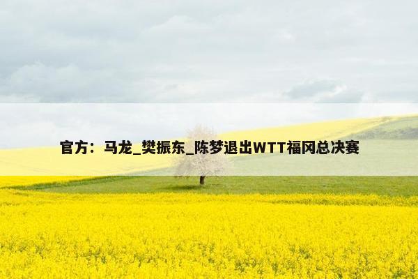 官方：马龙_樊振东_陈梦退出WTT福冈总决赛