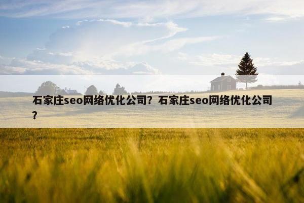 石家庄seo网络优化公司？石家庄seo网络优化公司？