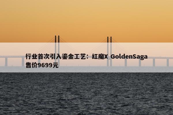 行业首次引入鎏金工艺：红魔X GoldenSaga售价9699元