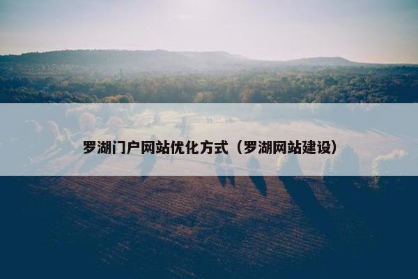 罗湖门户网站优化方式（罗湖网站建设）