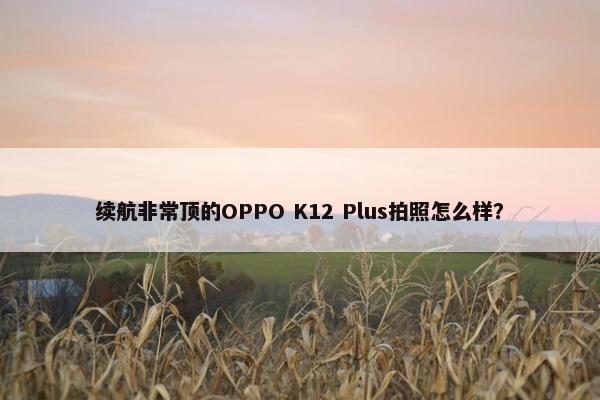 续航非常顶的OPPO K12 Plus拍照怎么样？