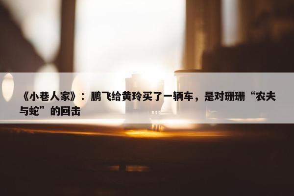 《小巷人家》：鹏飞给黄玲买了一辆车，是对珊珊“农夫与蛇”的回击