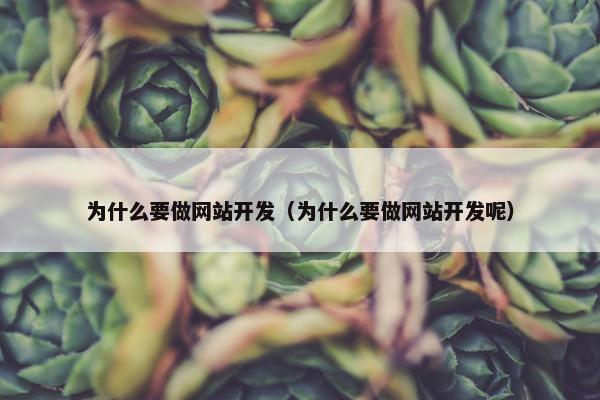 为什么要做网站开发（为什么要做网站开发呢）