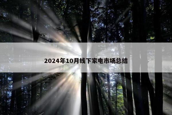 2024年10月线下家电市场总结