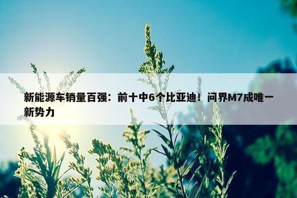 新能源车销量百强：前十中6个比亚迪！问界M7成唯一新势力