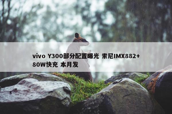 vivo Y300部分配置曝光 索尼IMX882+80W快充 本月发