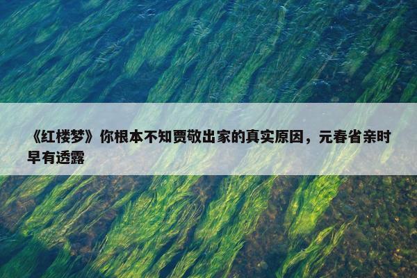 《红楼梦》你根本不知贾敬出家的真实原因，元春省亲时早有透露