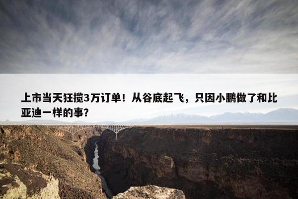 上市当天狂揽3万订单！从谷底起飞，只因小鹏做了和比亚迪一样的事？