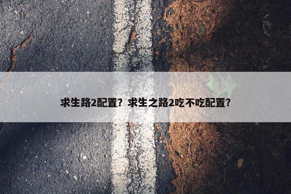 求生路2配置？求生之路2吃不吃配置？