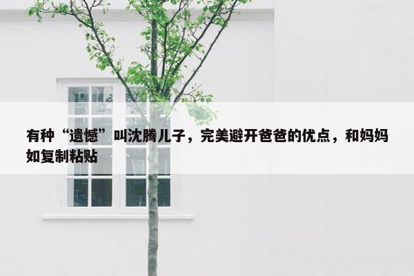 有种“遗憾”叫沈腾儿子，完美避开爸爸的优点，和妈妈如复制粘贴