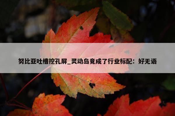 努比亚吐槽挖孔屏_灵动岛竟成了行业标配：好无语