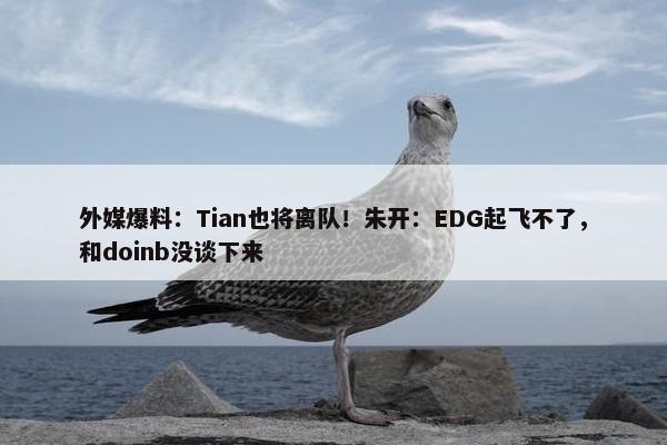 外媒爆料：Tian也将离队！朱开：EDG起飞不了，和doinb没谈下来