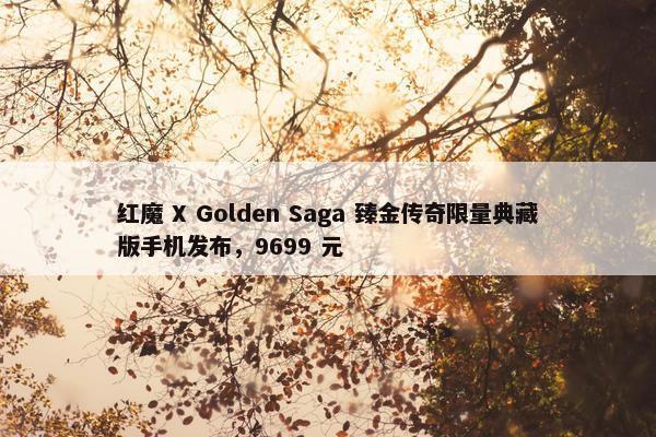 红魔 X Golden Saga 臻金传奇限量典藏版手机发布，9699 元