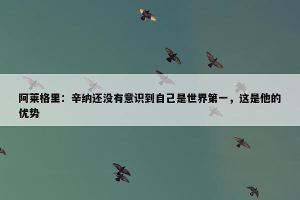 阿莱格里：辛纳还没有意识到自己是世界第一，这是他的优势