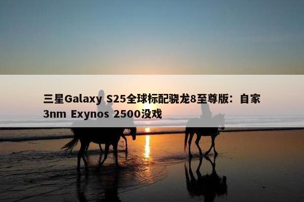 三星Galaxy S25全球标配骁龙8至尊版：自家3nm Exynos 2500没戏