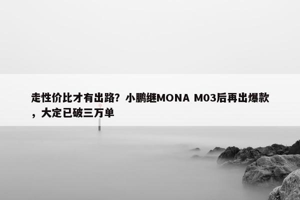 走性价比才有出路？小鹏继MONA M03后再出爆款，大定已破三万单