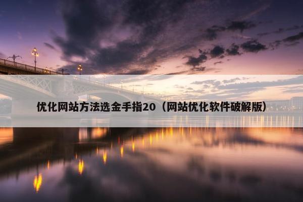 优化网站方法选金手指20（网站优化软件破解版）