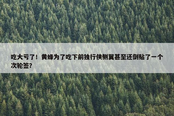 吃大亏了！黄蜂为了吃下前独行侠侧翼甚至还倒贴了一个次轮签？