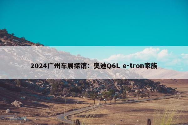 2024广州车展探馆：奥迪Q6L e-tron家族