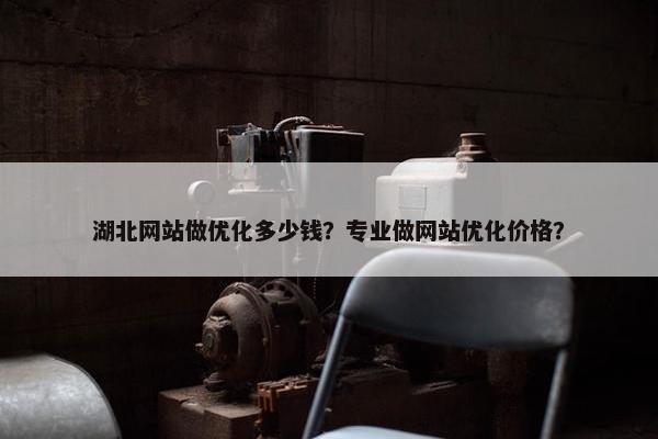 湖北网站做优化多少钱？专业做网站优化价格？