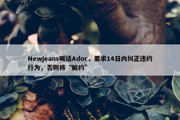 Newjeans喊话Ador，要求14日内纠正违约行为，否则将“解约”