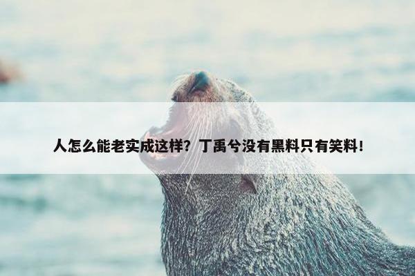 人怎么能老实成这样？丁禹兮没有黑料只有笑料！